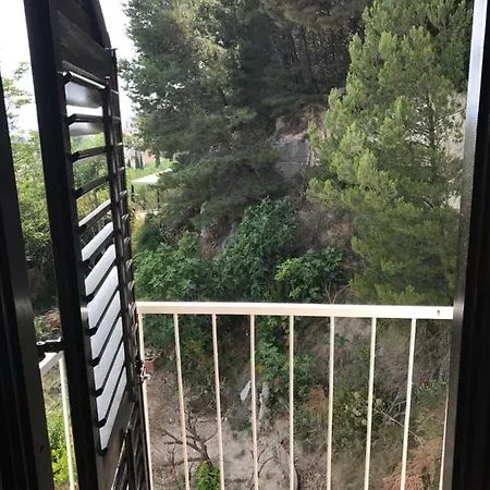 The View *