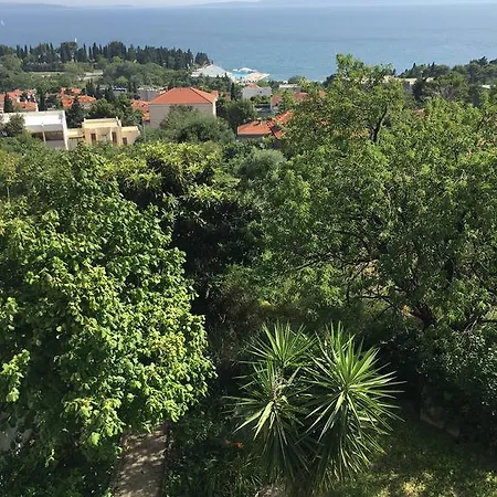 The View * Split
