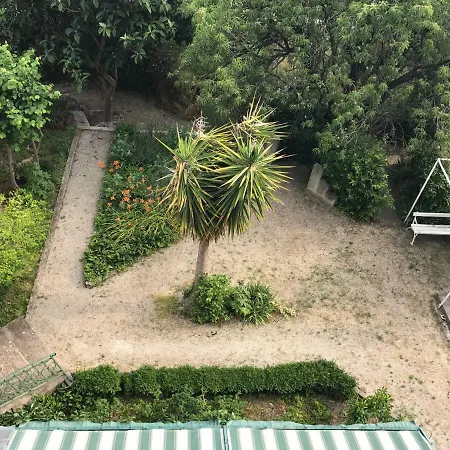 The View